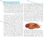 طراحی جلد و صفحه آرایی